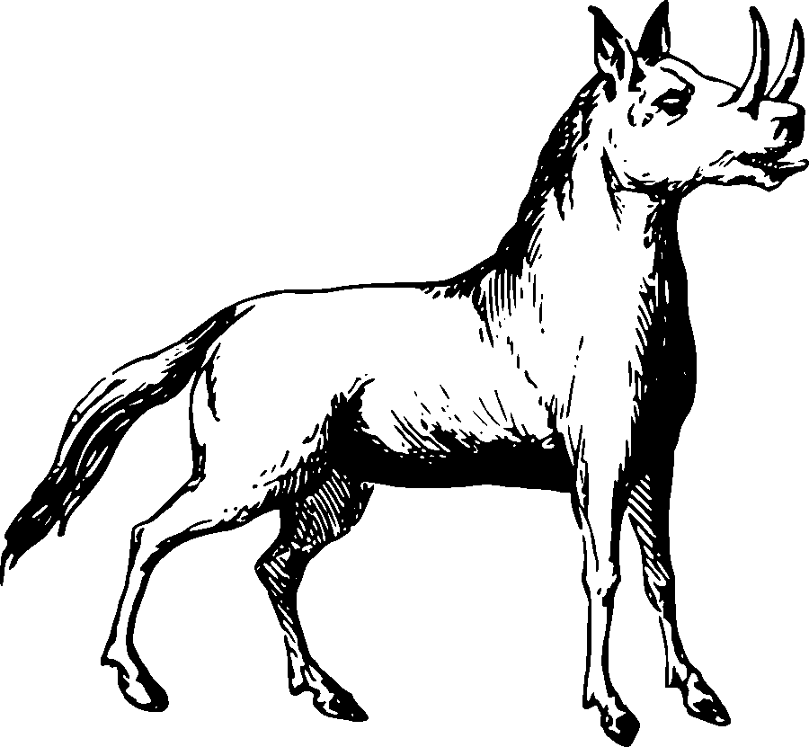 Drawing of horse like alien with big tusk horns on it’s nose.