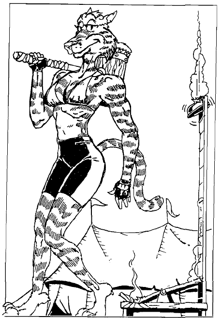 Humanoid feline walking away from destroyed carnival game.